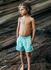 Great White Swim Trunks