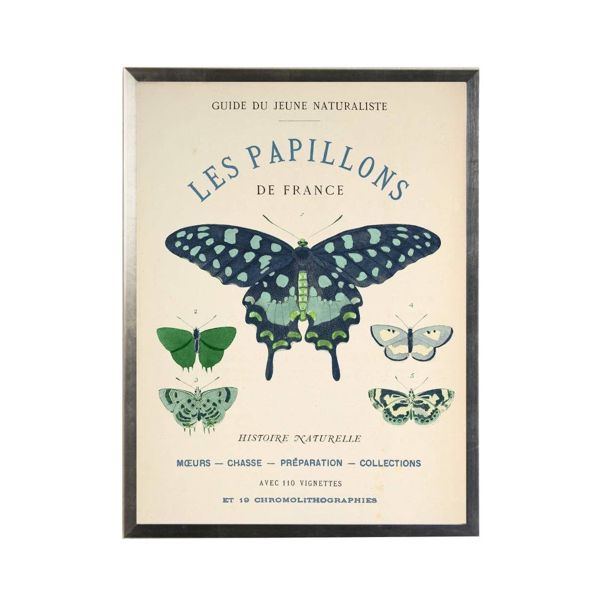 Navy + Green Butterflies On Title Page I  | 18 x 24