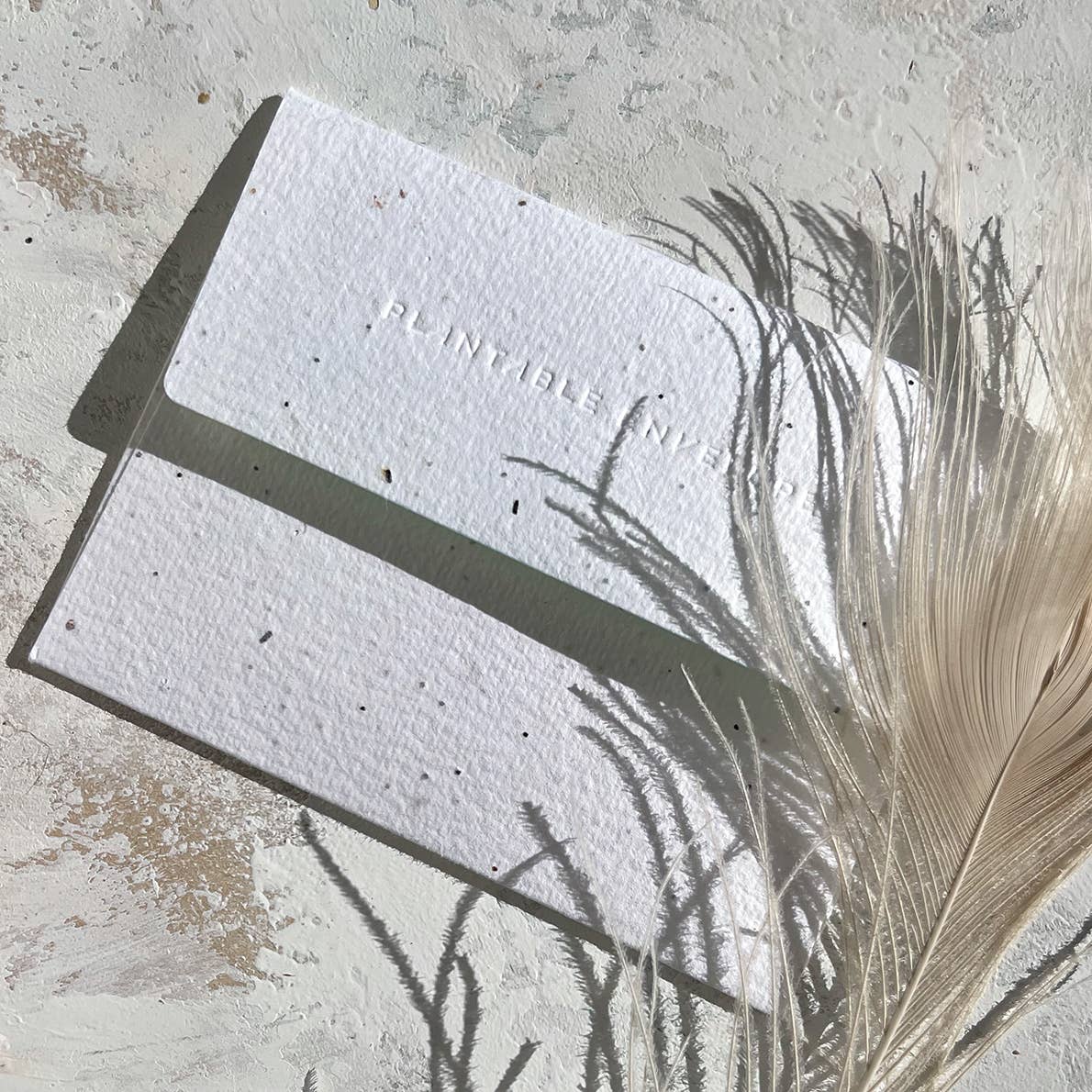 Peach | Thank You Card