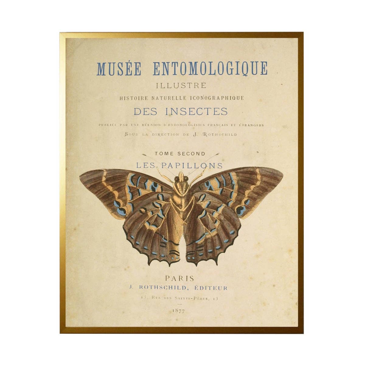 Butterfly On Title Page - Gold | 18 x24