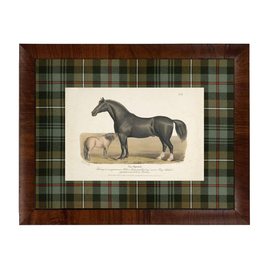 Vintage Horse Bookplate F | 20" X 16"