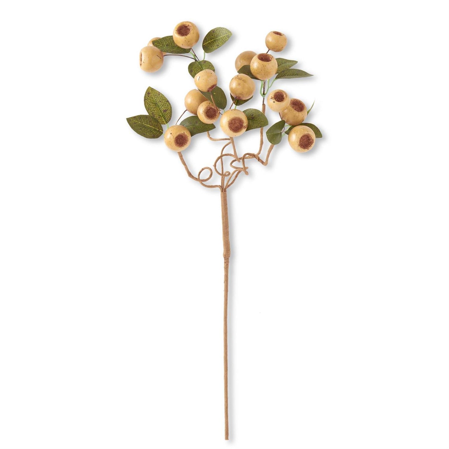 19" Olive Pod Stem