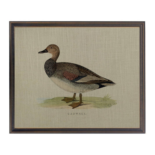 Gadwall Duck Painting on Linen | 28" X 22" |Black And Silver Narrow Shadowbox