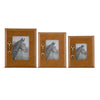Photo Frame w/Gold Horse Bit |  3 sizes