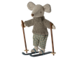 Winter Mouse with Ski Set | Big Brother