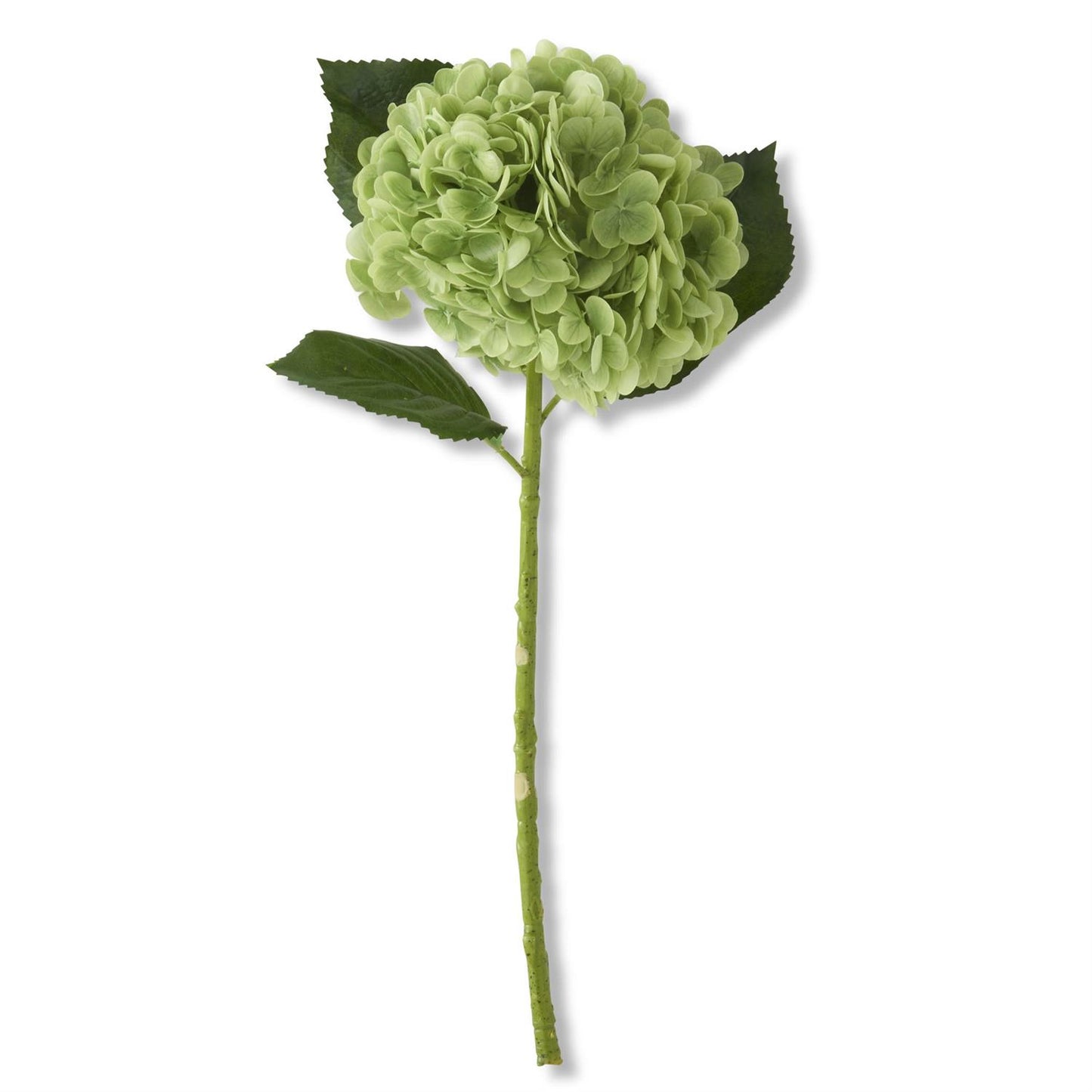 Real Touch Hydrangea Stem | 20 Inch | Asst Colors