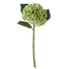 Real Touch Hydrangea Stem | 20 Inch | Asst Colors