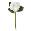Real Touch Hydrangea Stem | 20 Inch | Asst Colors