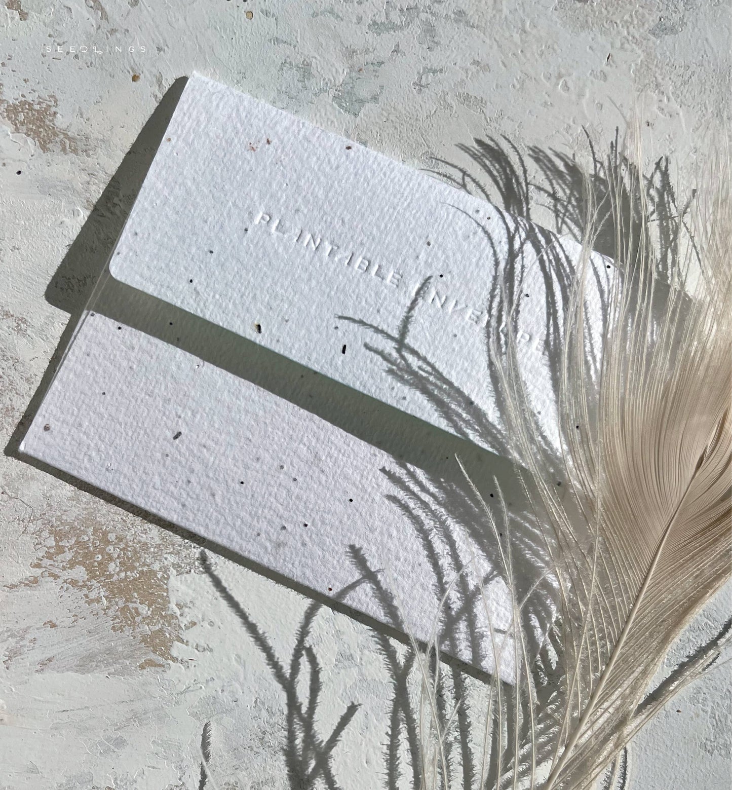 Cin Cin | Wedding Card