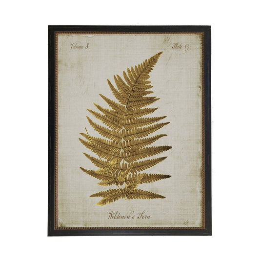 Sepia Wildenow's Fern On Aged Background  | 12 x 16