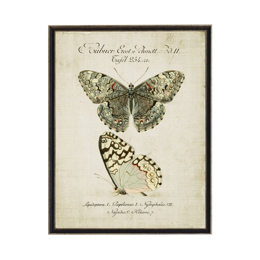 Vintage Neutral Butterfly Bookplate on Title Plate | A