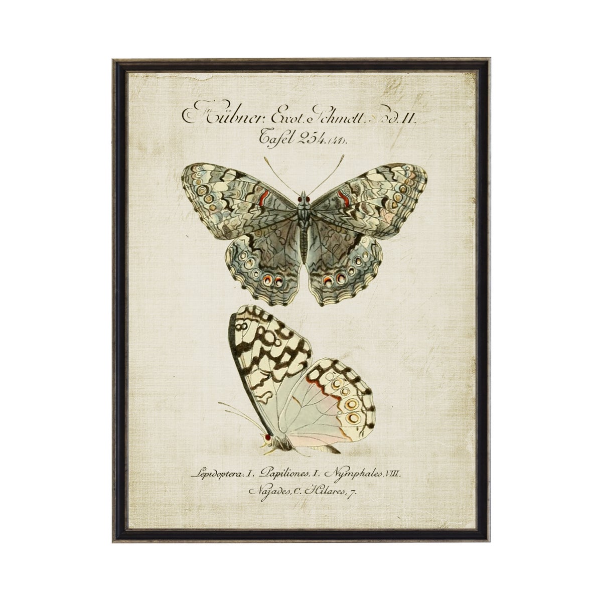 Vintage Neutral Butterfly Bookplate on Title Plate | A