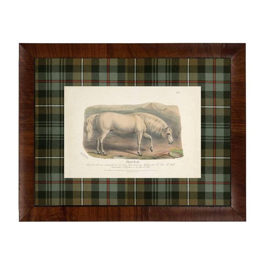 Vintage Horse Bookplate E | 20" X 16"