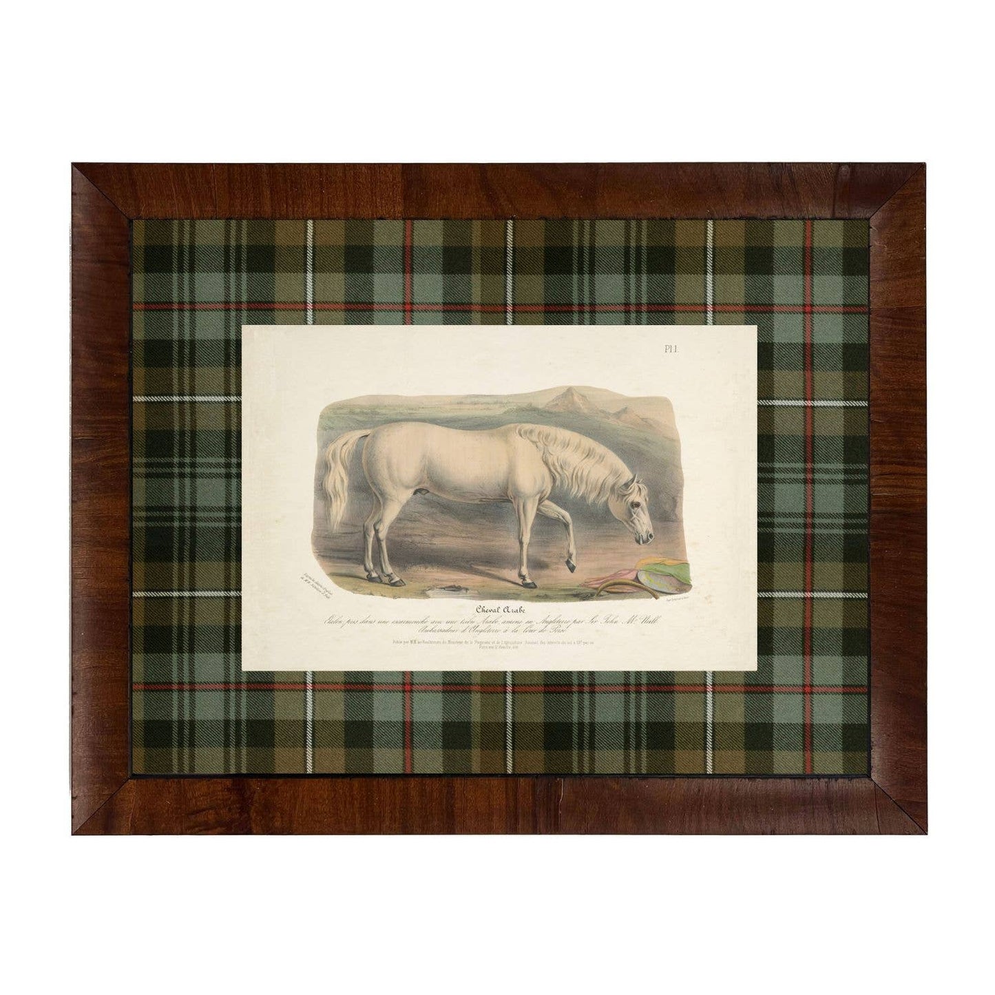 Vintage Horse Bookplate E | 20" X 16"