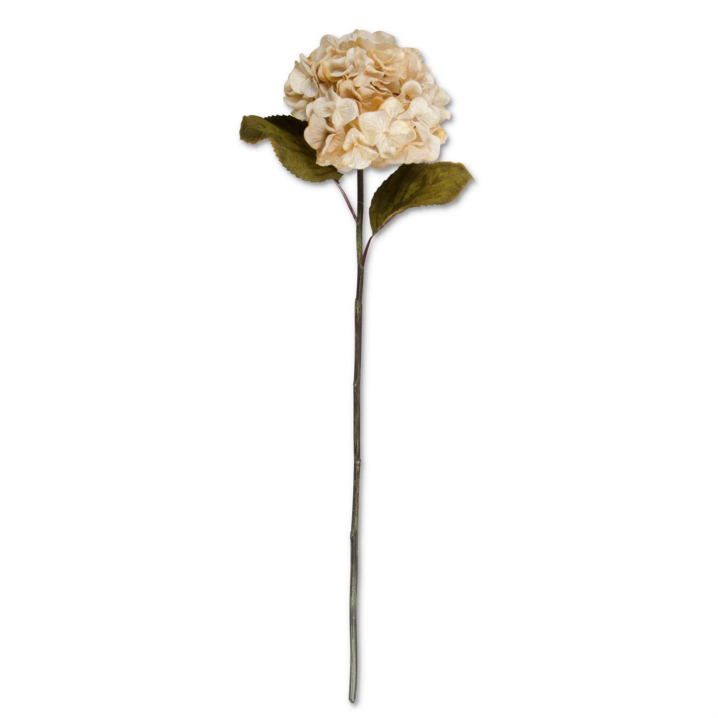 30" Hydrangea Stem | Burnt Cream