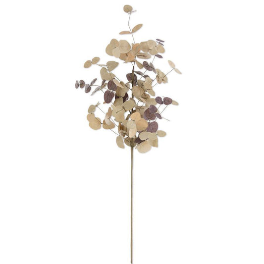 36" Tan Two-Tone Eucalyptus Stem