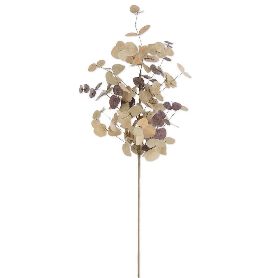 36" Tan Two-Tone Eucalyptus Stem