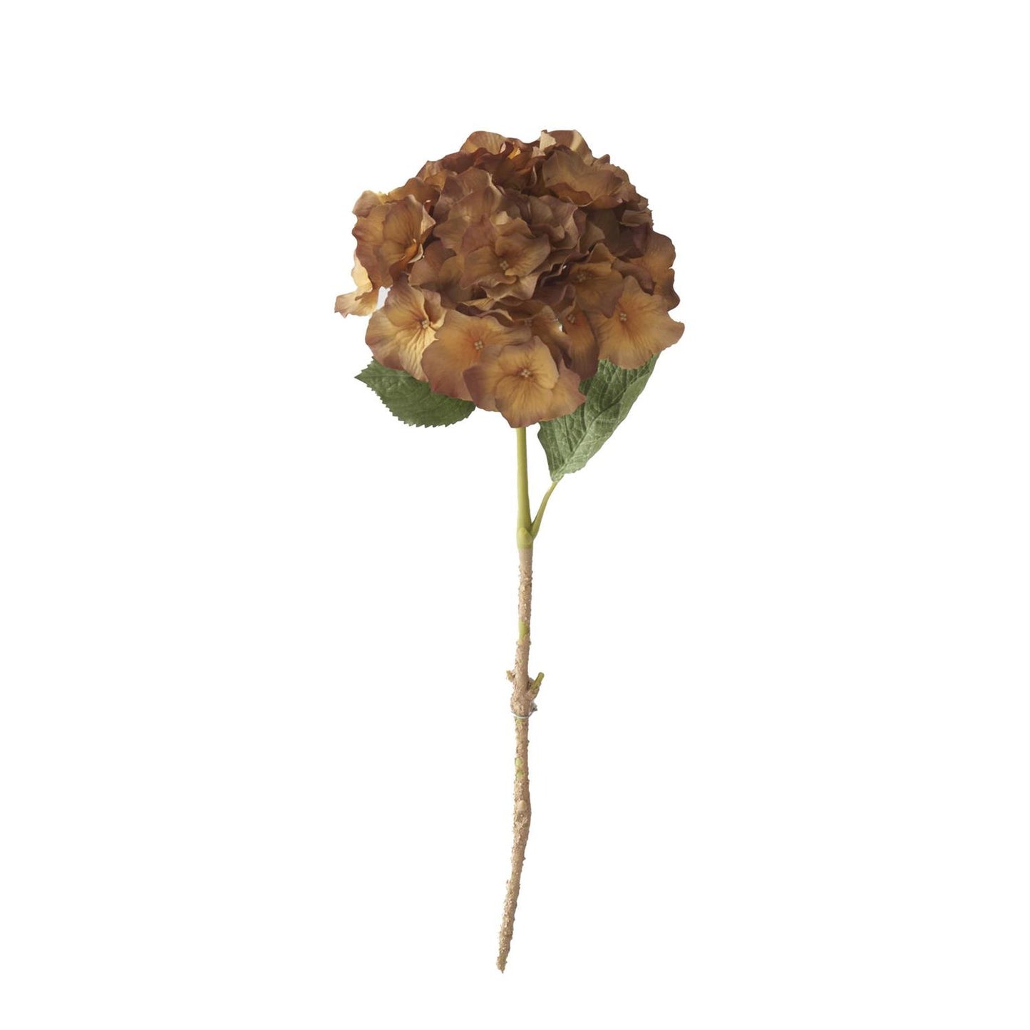 18-inch Hydrangea Stem | Brown/Yellow