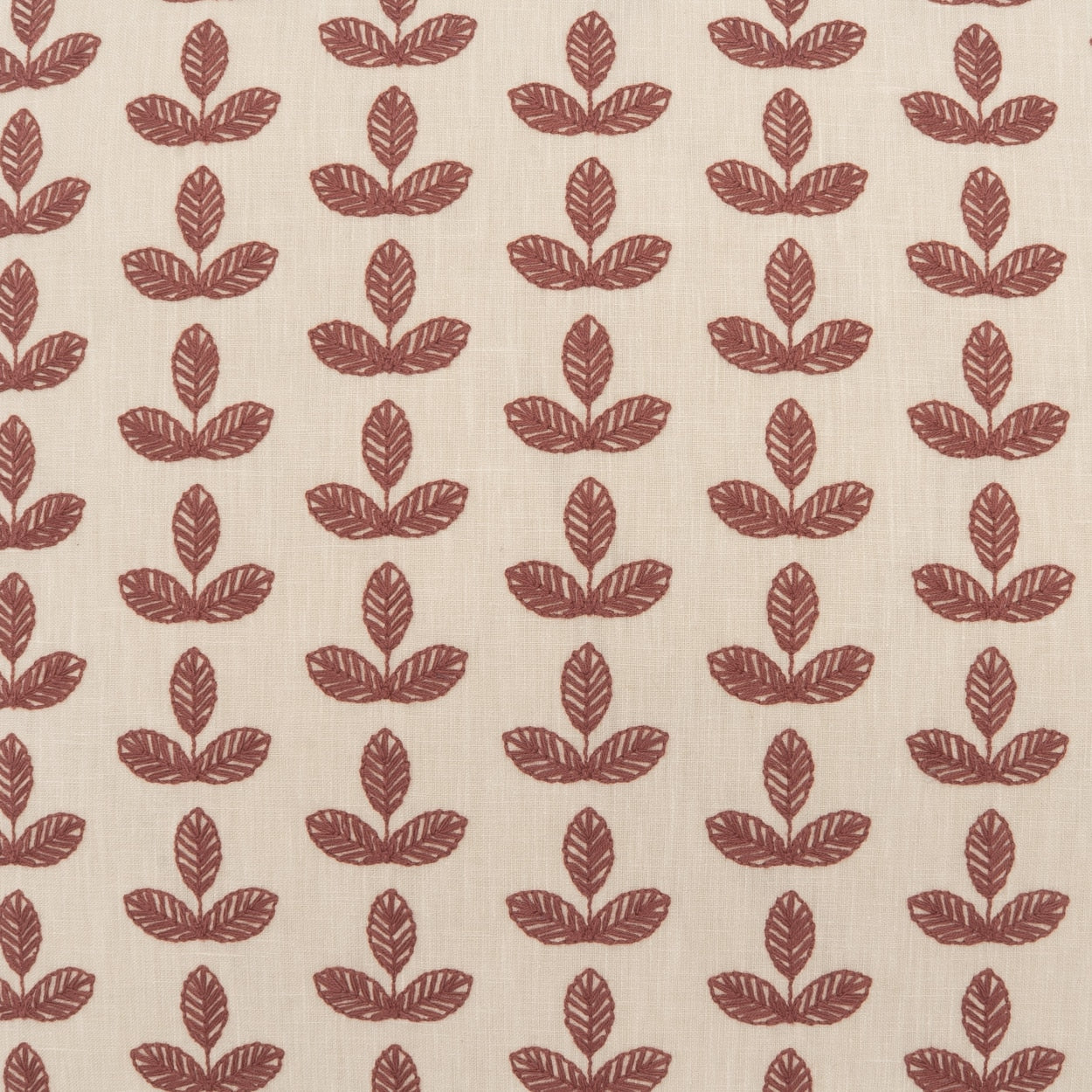 Clemence | Wine | 24x24