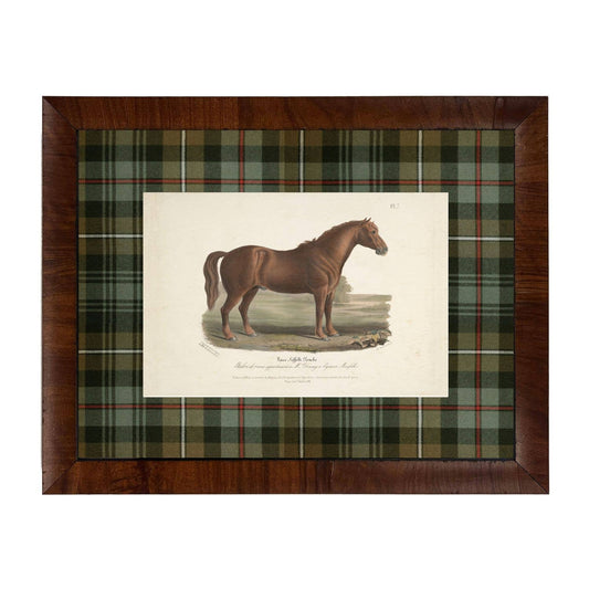 Vintage Horse Bookplate C | 20" X 16"