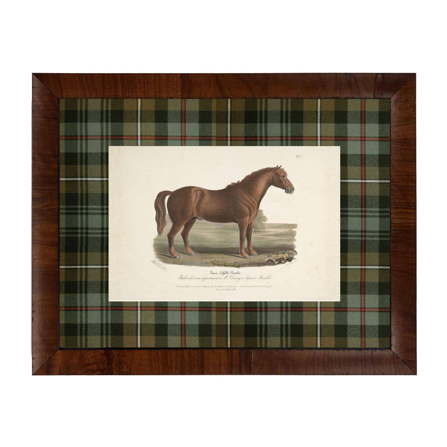 Vintage Horse Bookplate C | 20" X 16"