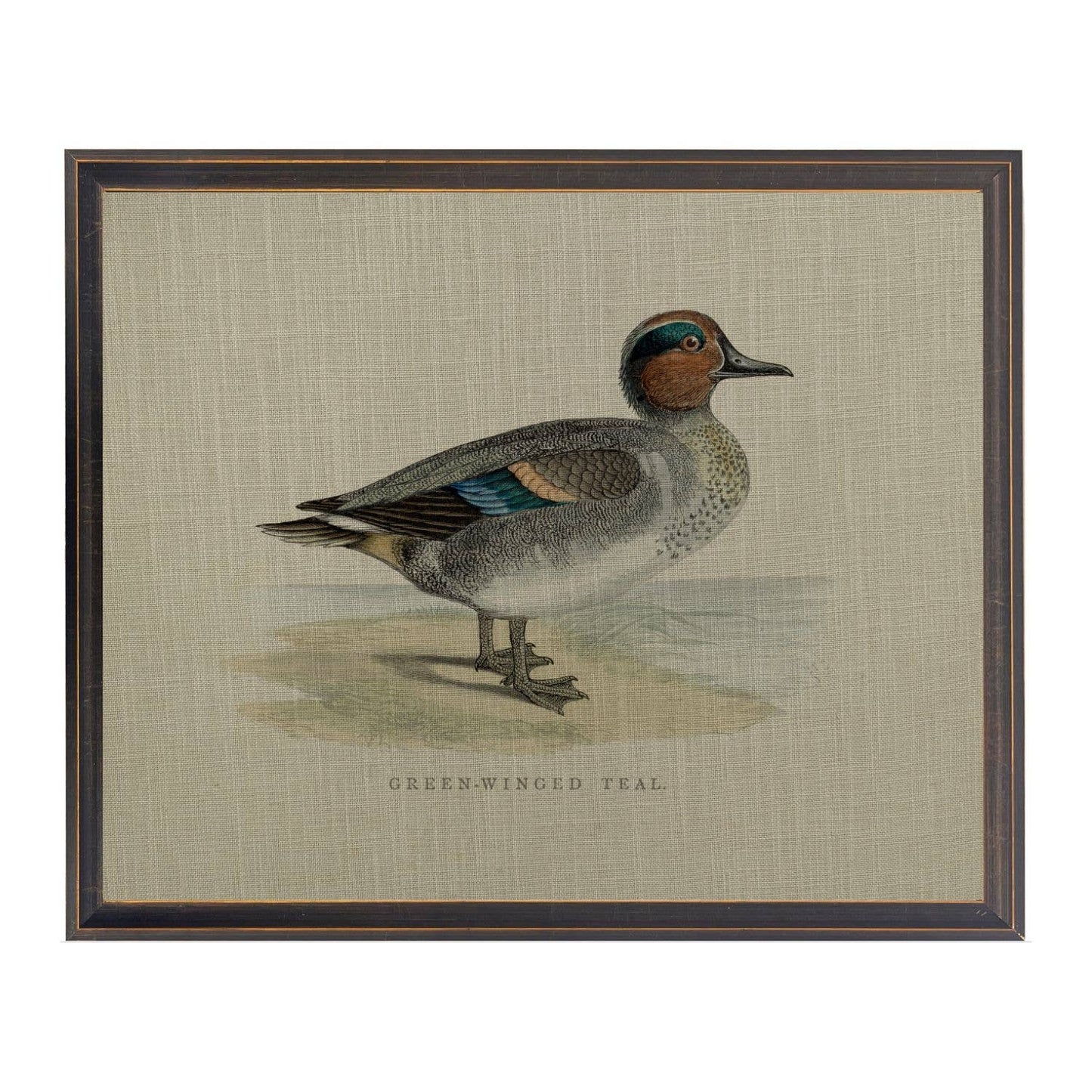 Green Winged Duck Painting on Linen | 28" X 22" | Black And Silver Narrow Shadowbox