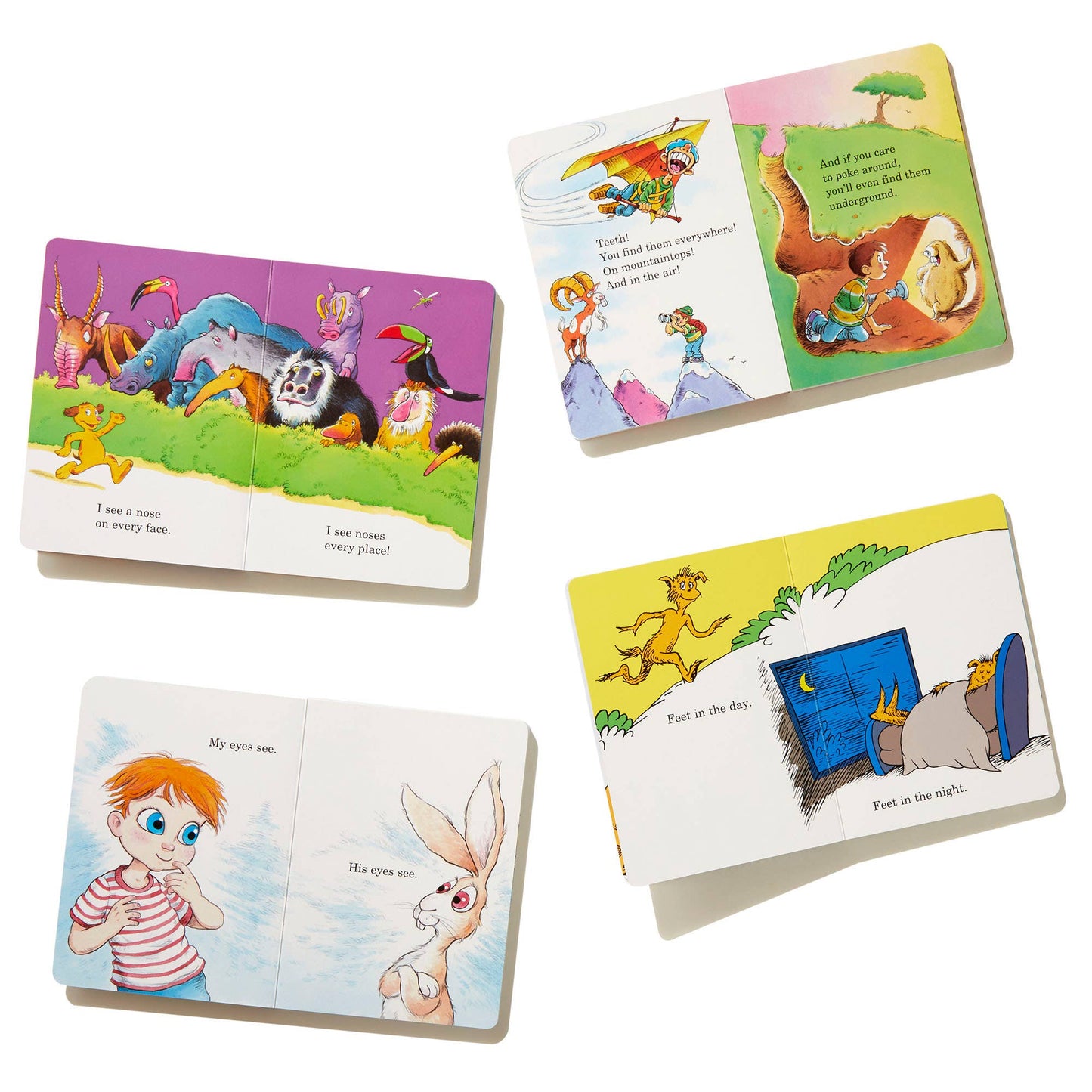 Big Box Of B&E Board Books