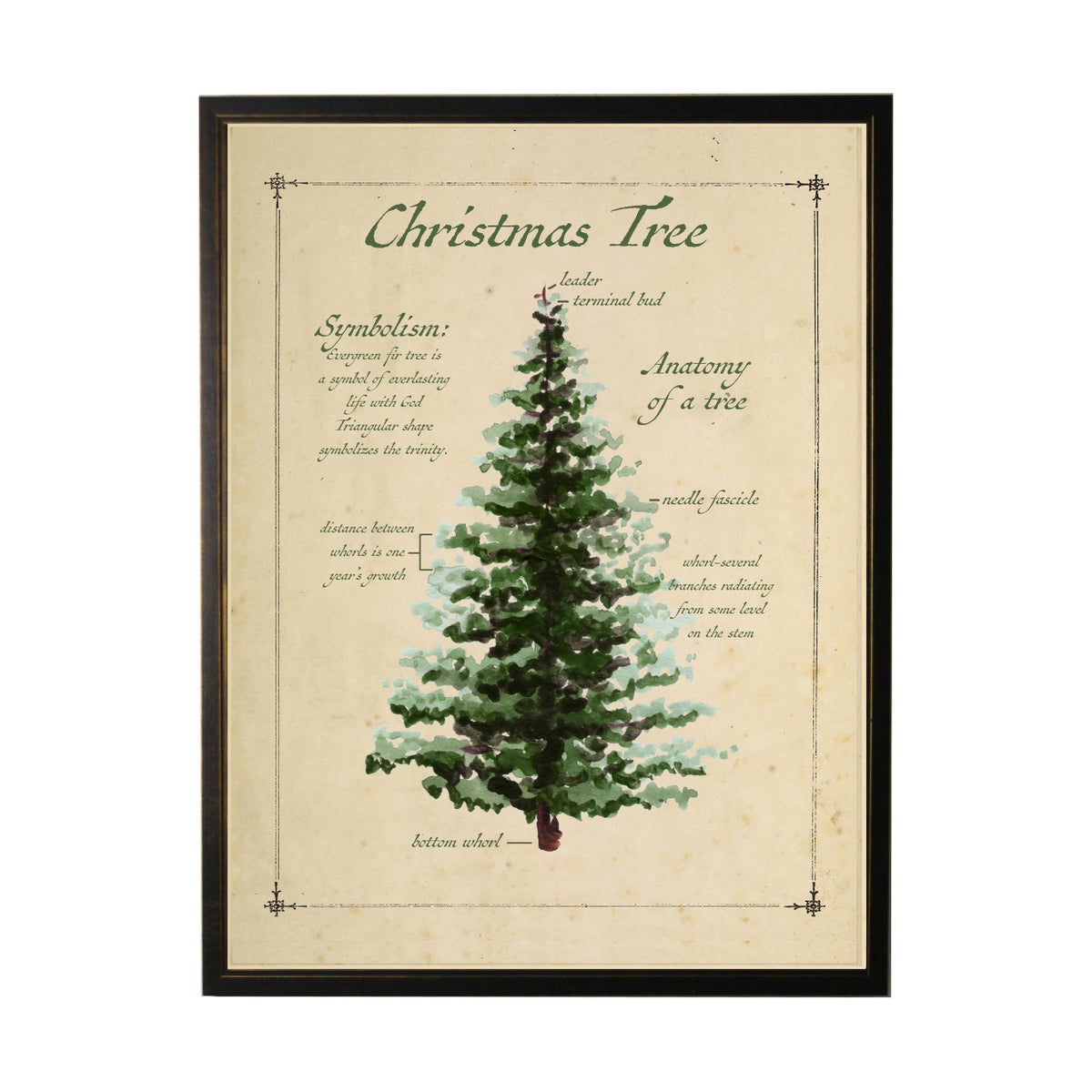 Holiday Christmas Tree with Definition | 12x16
