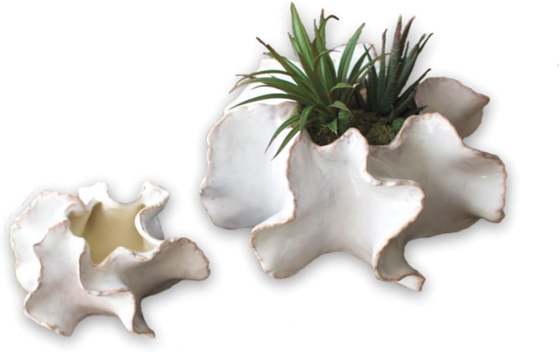 Organic Ceramic Planter | L