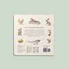 Our Big Book of Animals (Board Book)