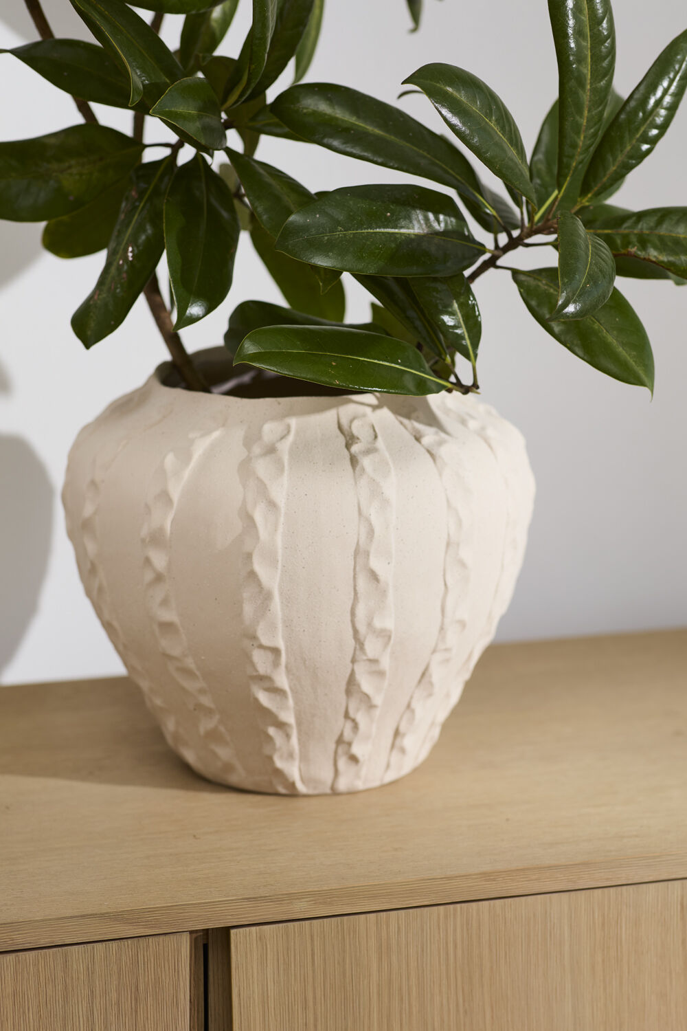 Argos Vase | 14" x 11.75"