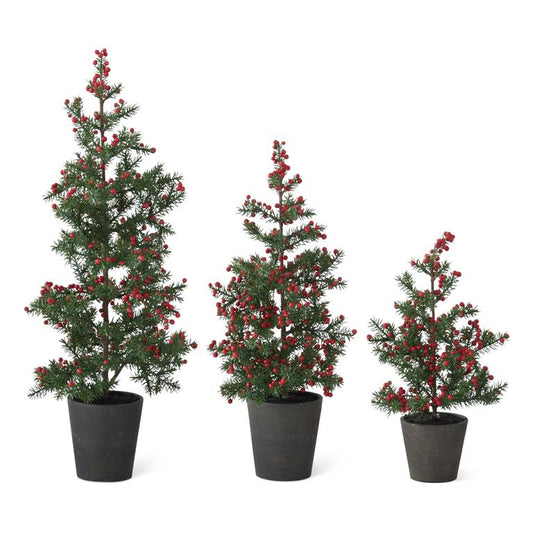 Set of 3 Juniper Pine Trees w/Red Berries