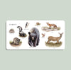 Our Big Book of Animals (Board Book)
