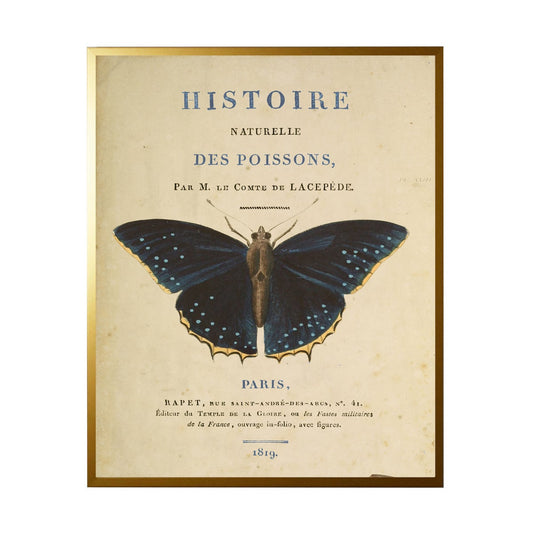 Butterfly on Title Page II | 28x22