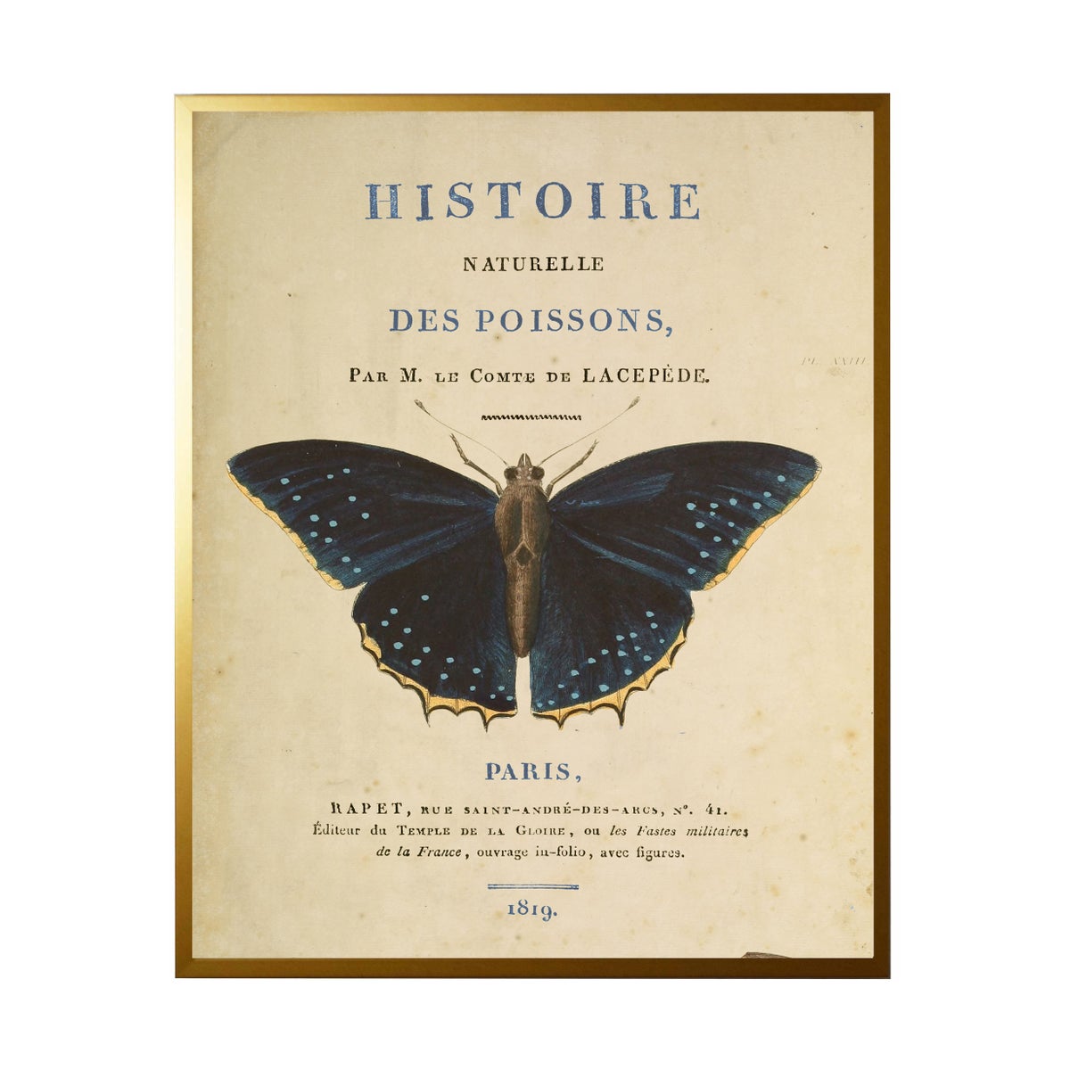 Butterfly on Title Page II | 28x22