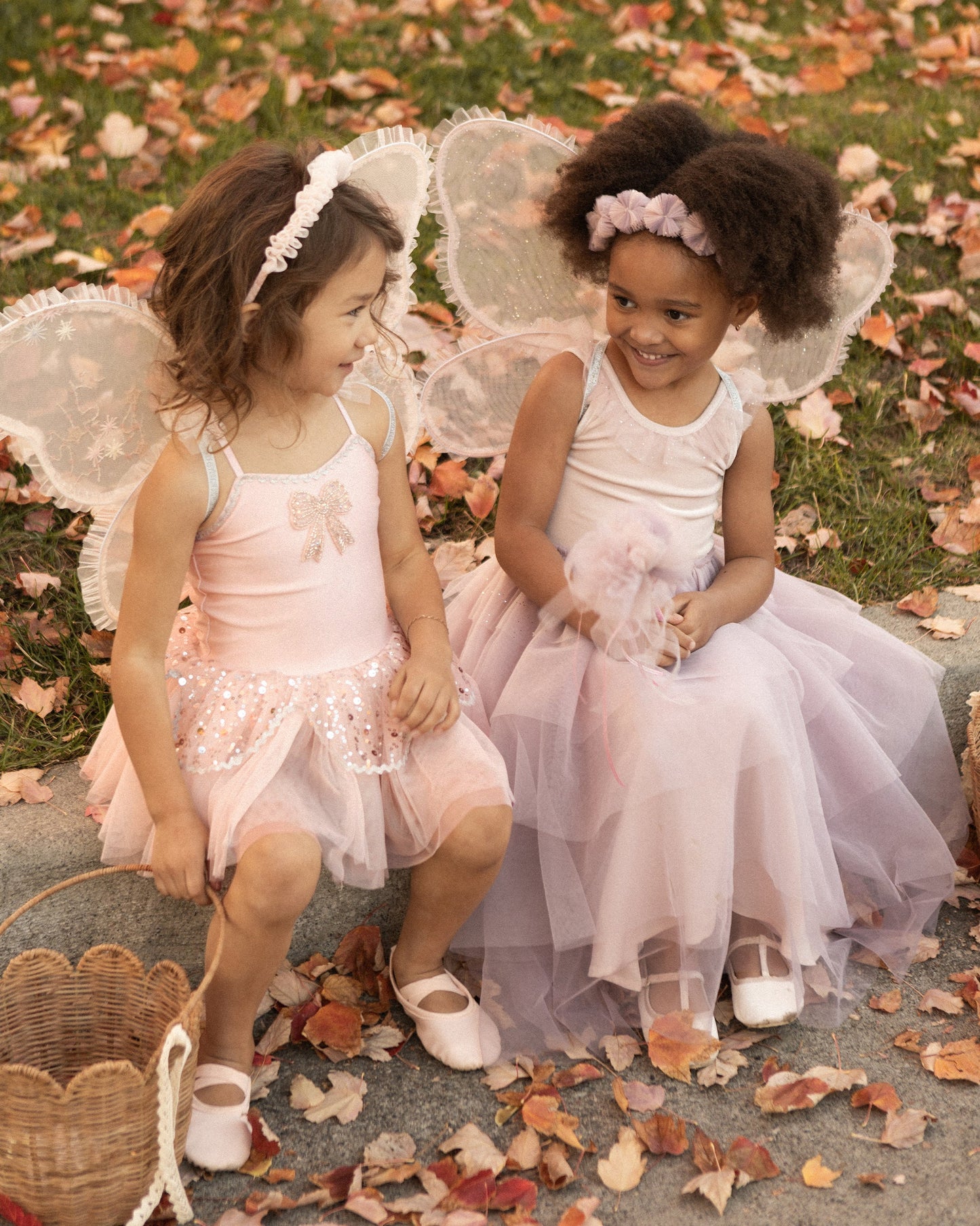 Wings | Sugar Plum Shimmer