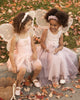Wings | Sugar Plum Shimmer