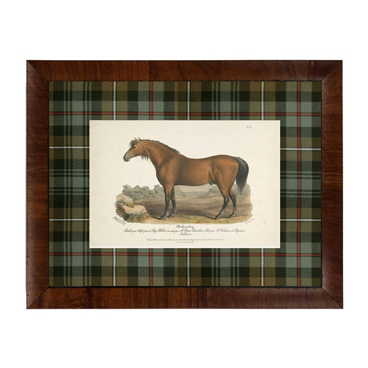 Vintage Horse Bookplate A | 20" X 16"