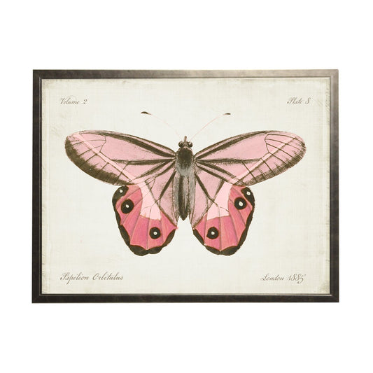 Plate 8 Pink Butterfly | 22 x 28