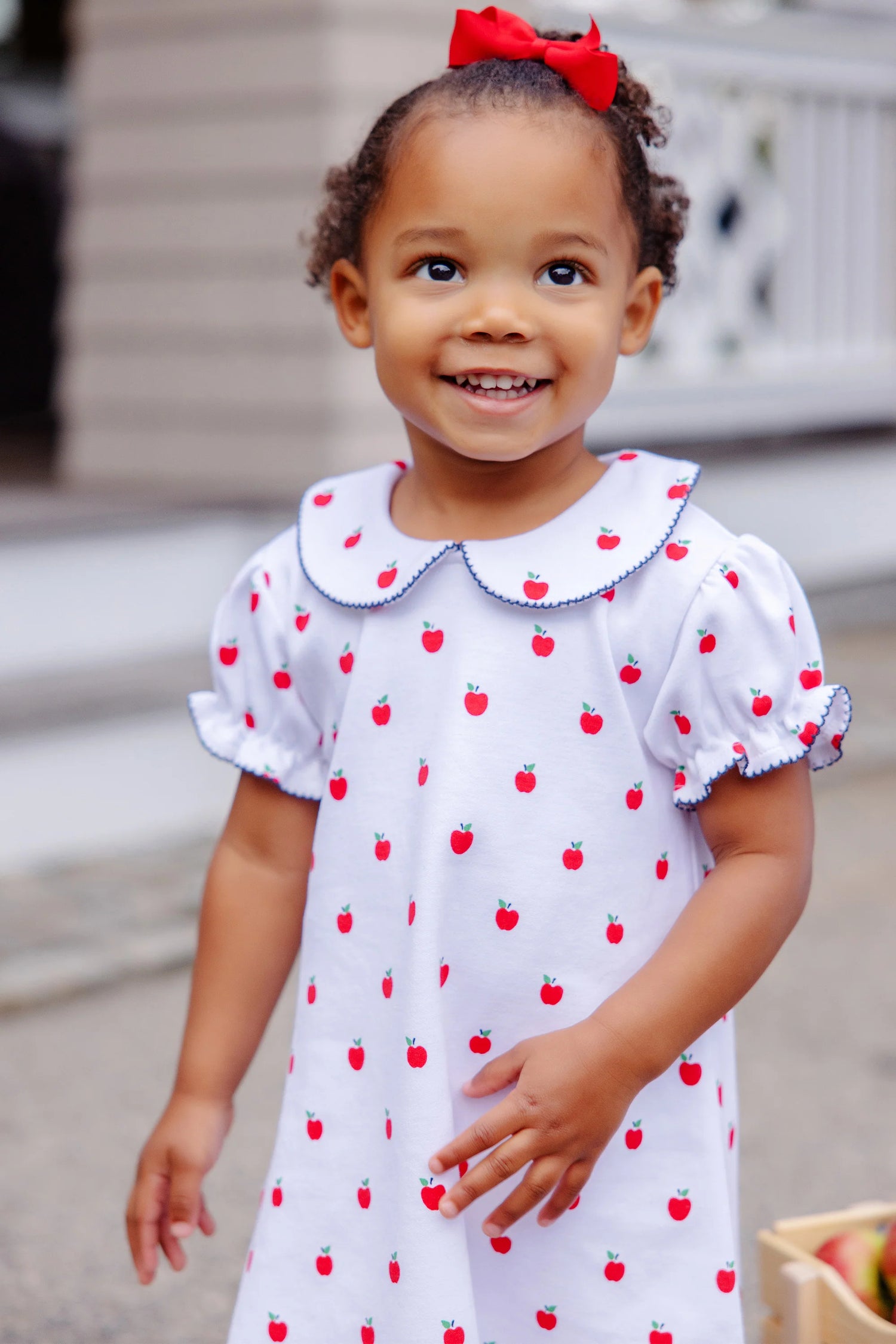 Maudes Peter Pan Collar Dress | Egerton Apples/Nantucket Navy Madison Grace Home Maudes Peter Pan Collar Dress | Egerton Apples/Nantucket Navy Madison Grace Home
