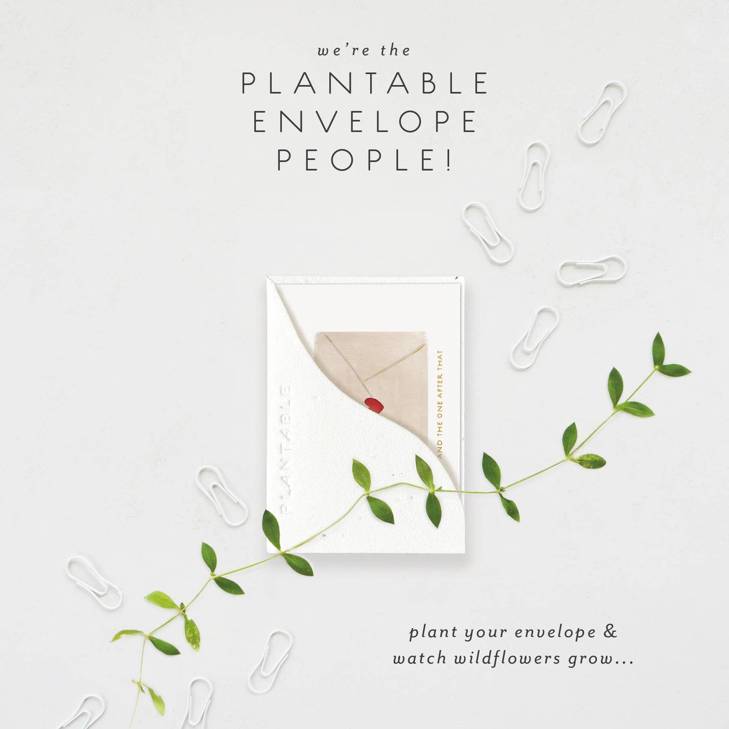 Love Letters Sprout - Love + Friendship Mini Greeting Card