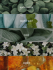 Hotel Lobby Spa |  Luxury Eucalyptus Reed Diffuser