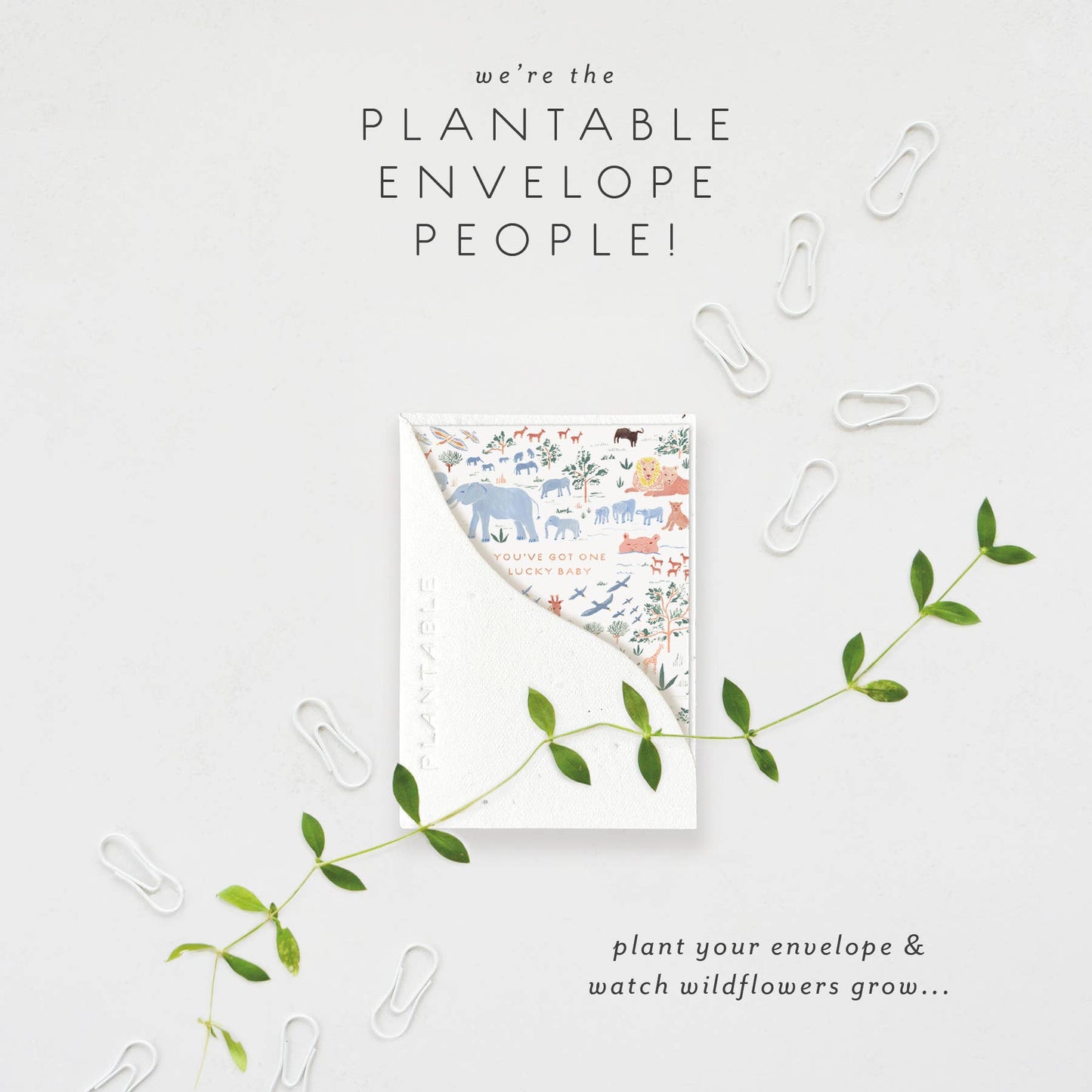 Lucky Baby Sprout - Baby Mini Greeting Card (2.5" x 3.5")