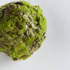 Mossy Lichen Orb 4"