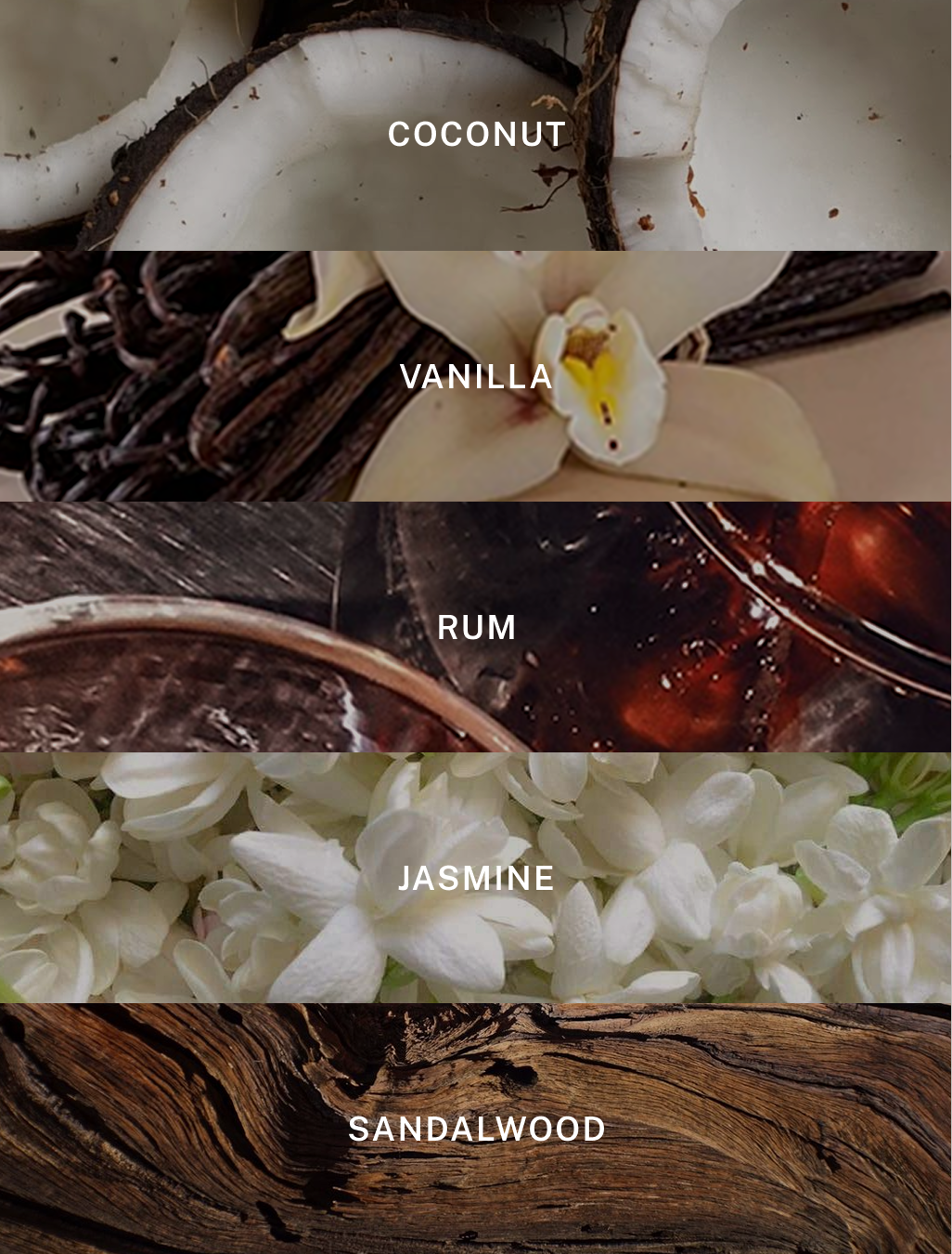 Hotel Lobby Island | Luxury Soy Coconut Candle | 9.75 oz