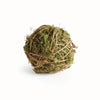 Mossy Vine Orb 4"
