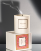 Hotel Lobby Miami | Luxury Soy Candle | 9.75 oz