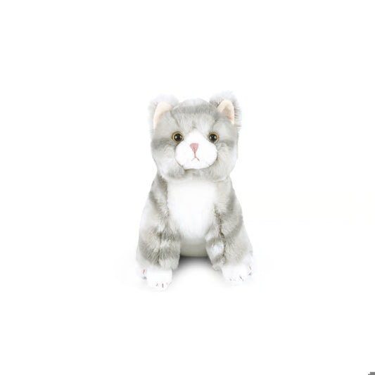 Cassie Kitty