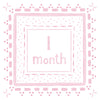 Milestone Cards | Pink or Blue