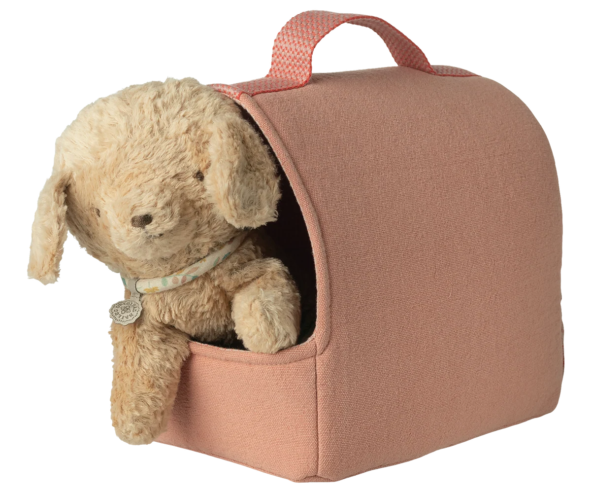 Pet Carrier | Coral